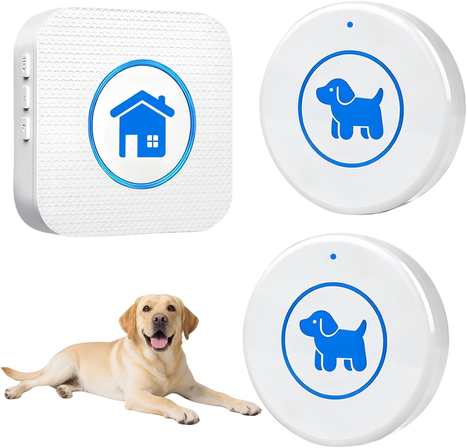 Dog Door Bell 2026 Enhanced Touch, Wireless Doggie Doorbell for Potty Training to Go Outside, IP65 Waterproof, 1000ft Range, 55 Melodies, 5 Modes & Adjustable Volume (2 Buttons) - Image 11
