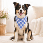 Medium dog wearing blue and white plaid cotton bandana