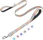 Reflective 6ft Dog Leash with Two Padded Handles, Heavy Duty Strong Nylon Pet Leash with Soft Neoprene Handle for Small Medium Large Dogs, Colorful Geometric - Image 15