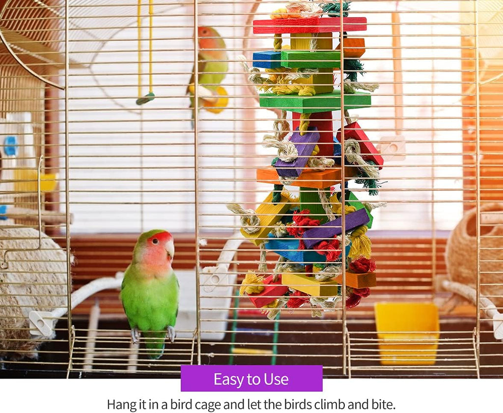 Macaw bird interacting with RUBY.Q large parrot toy in a home setting.