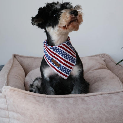 Imported American flag puppy bandana tied on a medium sized dog