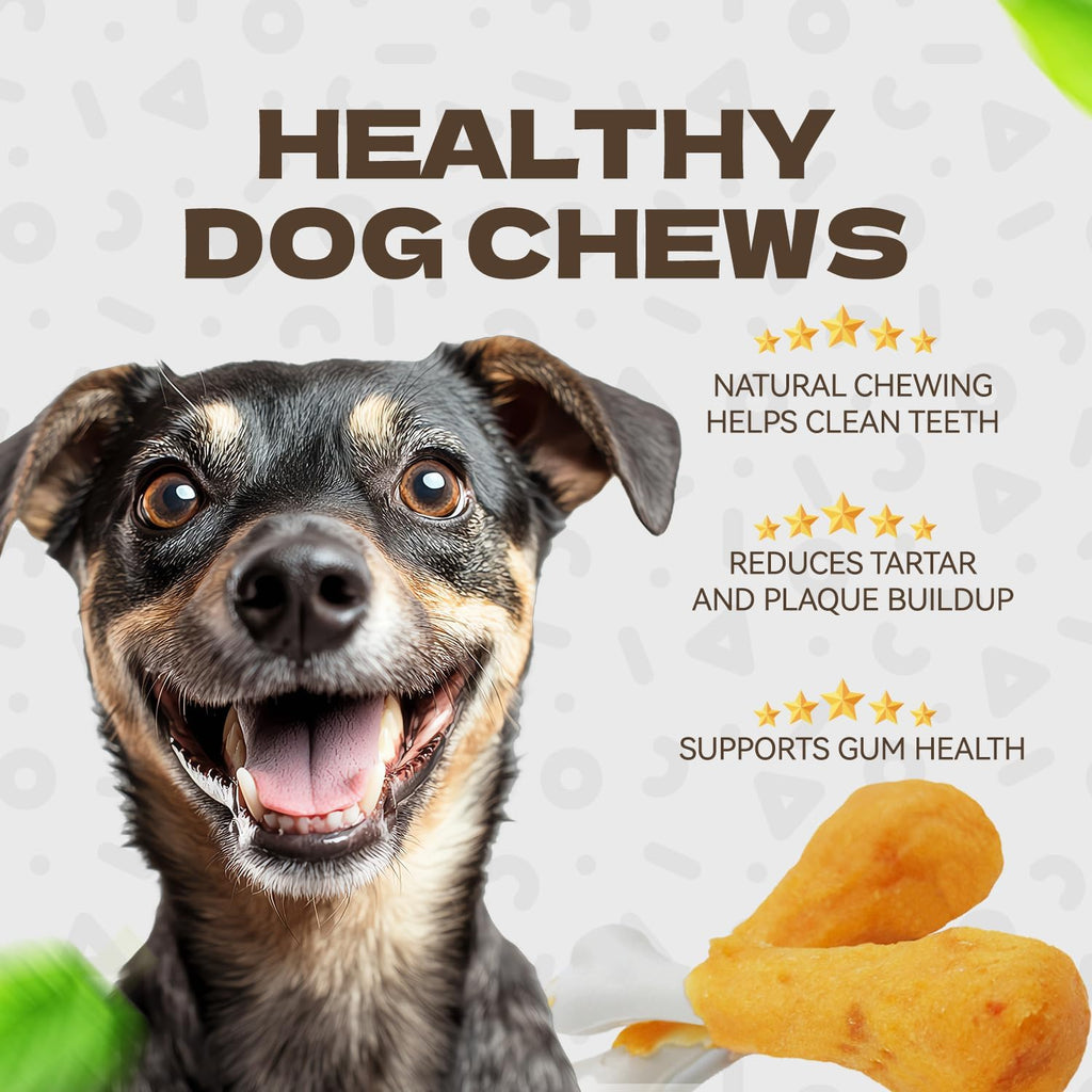 Resealable bag of premium imported health-conscious dog treats