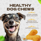 Resealable bag of premium imported health-conscious dog treats