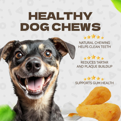 Resealable bag of premium imported health-conscious dog treats
