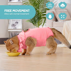 Avont kitten spay onesie with ruffled collar close up view
