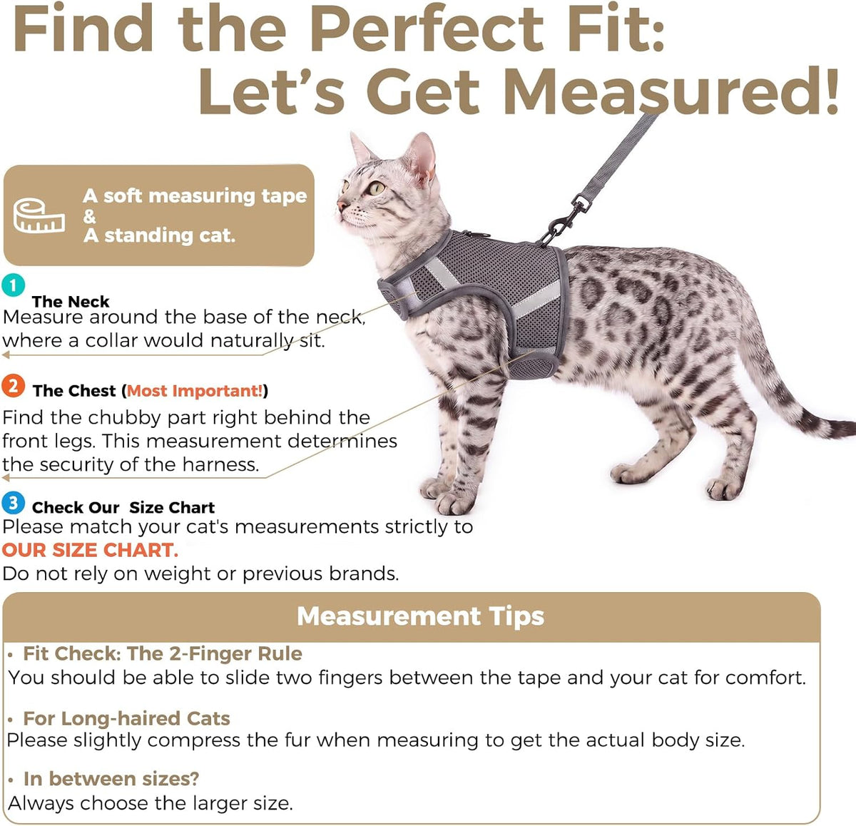 Grey extra large kitten harness flat open no head pull design