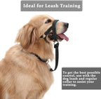 Barkless head collar adjustable strap design