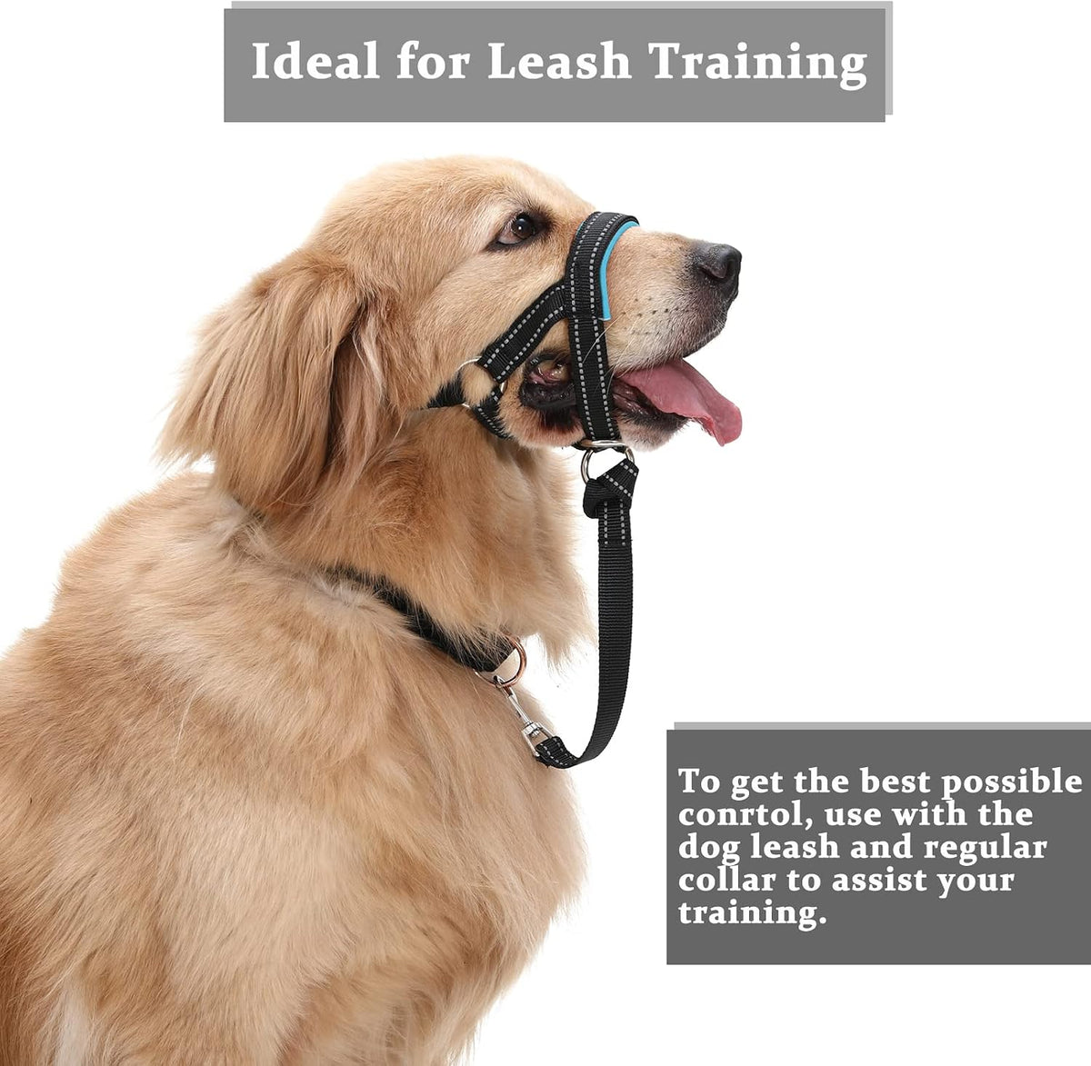 Barkless head collar adjustable strap design