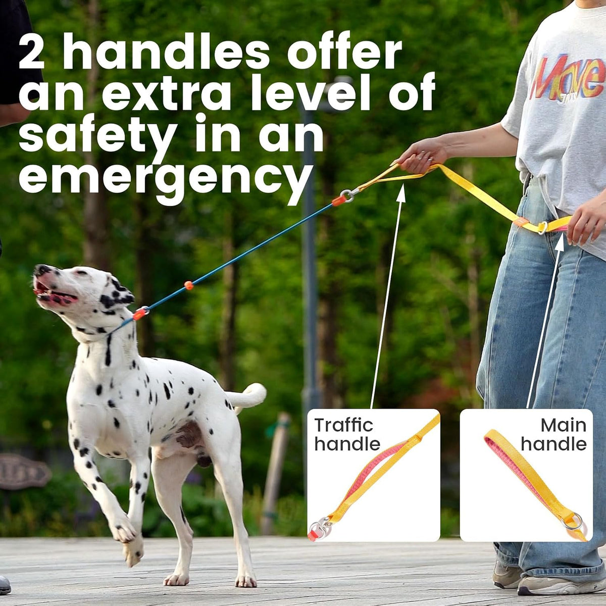 HowGo heavy duty lead showcasing the 360 degree swivel anti tangle mechanism.
