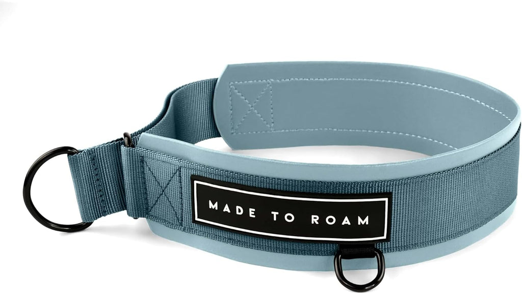 MADE TO ROAM Premium Everyday Dog Collar front view in California Horizon pattern.