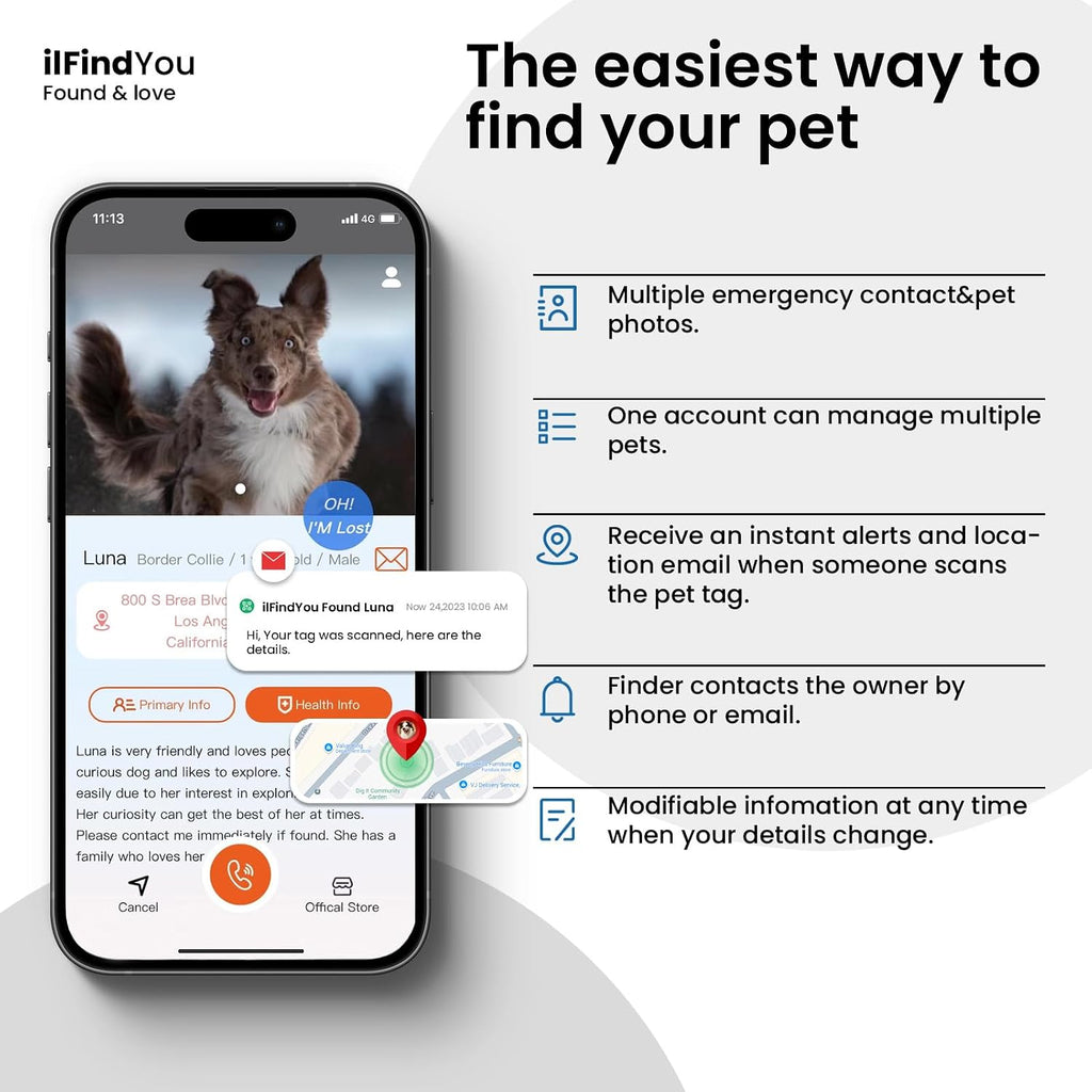 ILFINDYOU digital pet profile dashboard showing contact details and medical history sections.