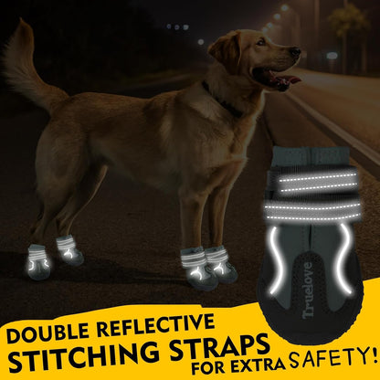 Dog walking on hot pavement with paw protectors