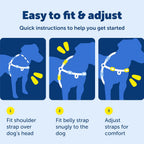 PetSafe Easy Walk harness with top control handle