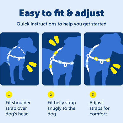 PetSafe Easy Walk harness with top control handle
