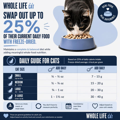 Whole Life Cat Just One Chicken Freeze Dried Cat Treats - Human Grade High Protein Food, Healthy Training Snacks, Freeze Dried Chicken Food Toppers, USA Made Natural Treats - 4 oz (Pack of 1) - Image 3