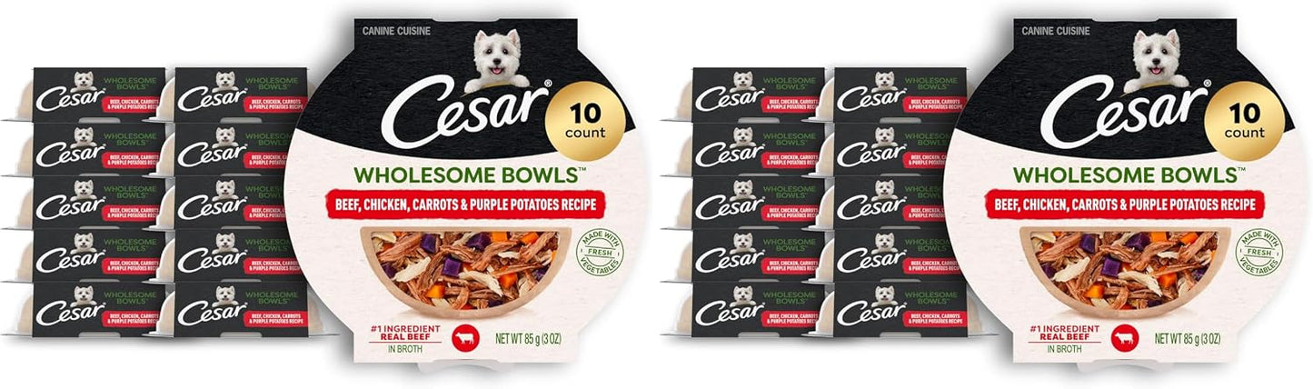 Cesar Wholesome Bowls Adult Wet Dog Food, Chicken, Recipe, Wet Food for Dogs, 3 Oz. Bowls, 10 Count - Image 10