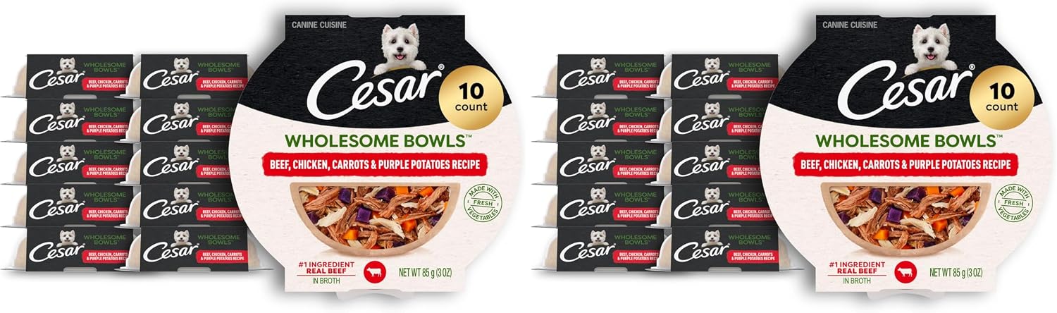 Cesar Wholesome Bowls Adult Wet Dog Food, Chicken, Recipe, Wet Food for Dogs, 3 Oz. Bowls, 10 Count - Image 10