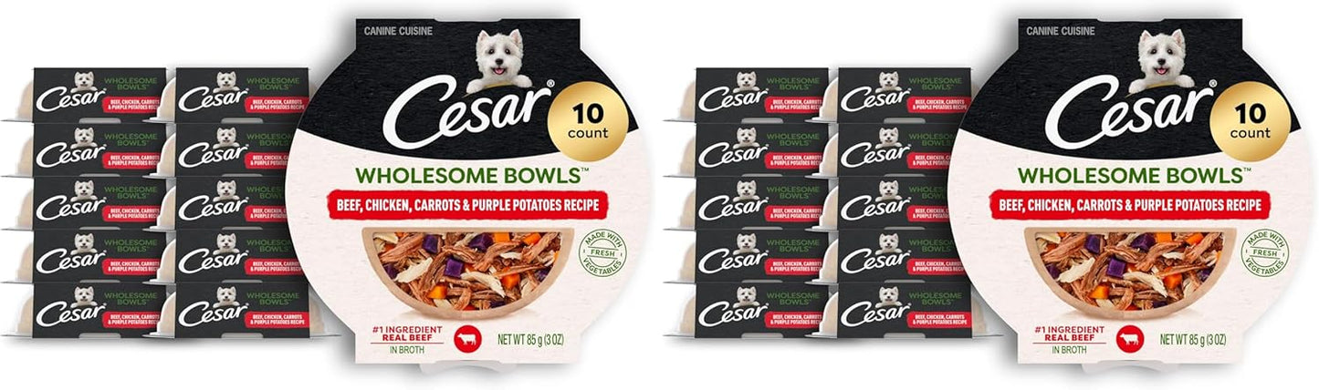 Cesar Wholesome Bowls Adult Wet Dog Food,Chicken,Carrots,Barley & Green Beans Recipe,Wet Food for Dogs,3 Oz. Bowls,10 Count (Pack of 2) - Image 10