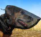 Out Fox Field Guard dog safety mask front view on dog