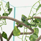 Packaging and complete components of Coolrunner reptile decor set