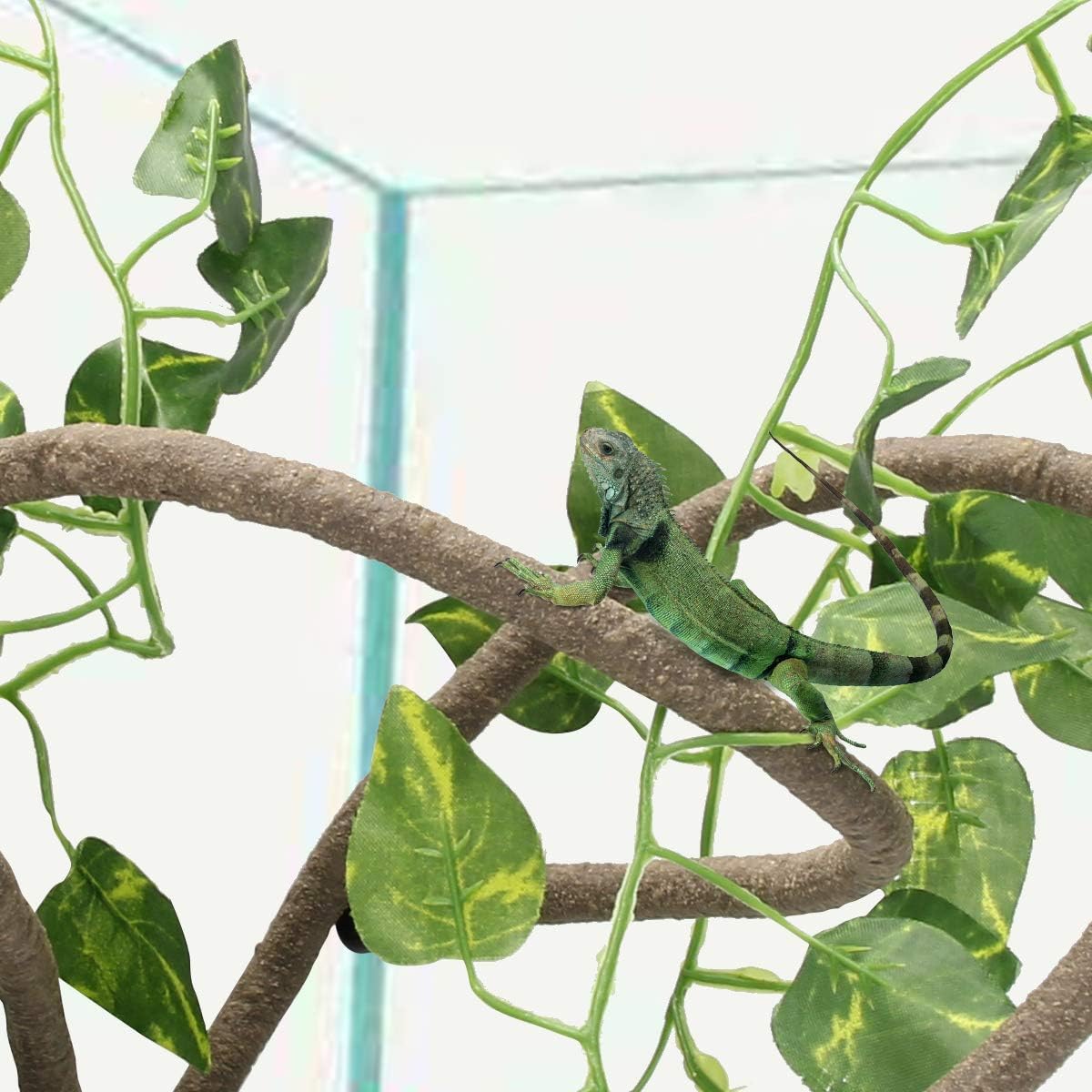 Set of two Coolrunner reptile vines including 8ft and 6ft lengths