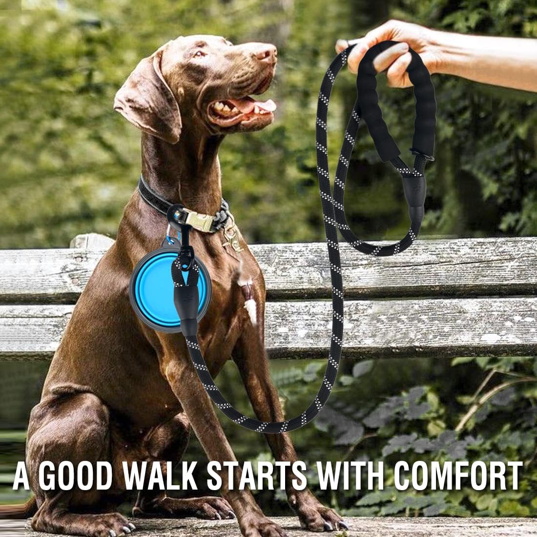 Durable five feet dog leash with comfortable padded handle for medium large dogs.