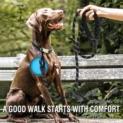 Durable five feet dog leash with comfortable padded handle for medium large dogs.