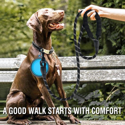 Durable five feet dog leash with comfortable padded handle for medium large dogs.