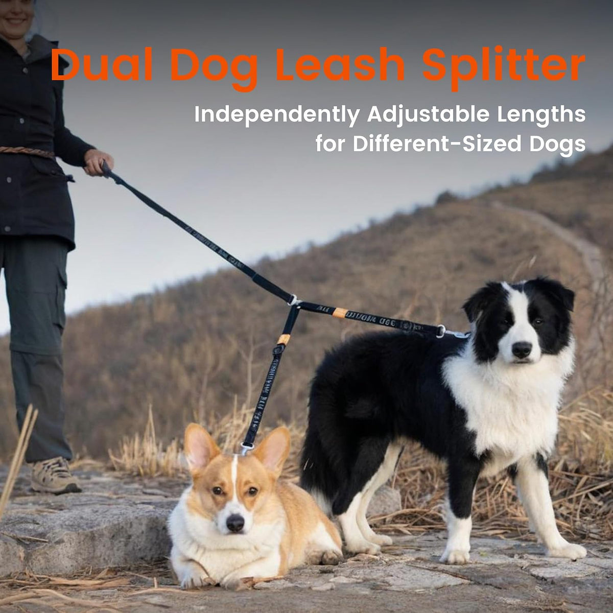 HOWGO double dog lead coupler demonstrating the smooth 360 rotation feature.
