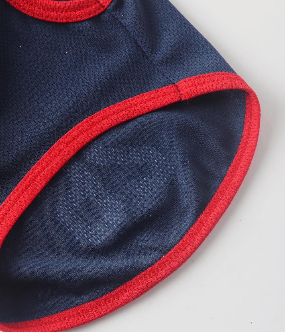 Dog in navy blue USA soccer fan gear outdoors