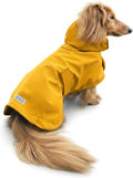 Hudson Hound Dachshund Raincoat front view of yellow dog jacket on a miniature sausage dog.