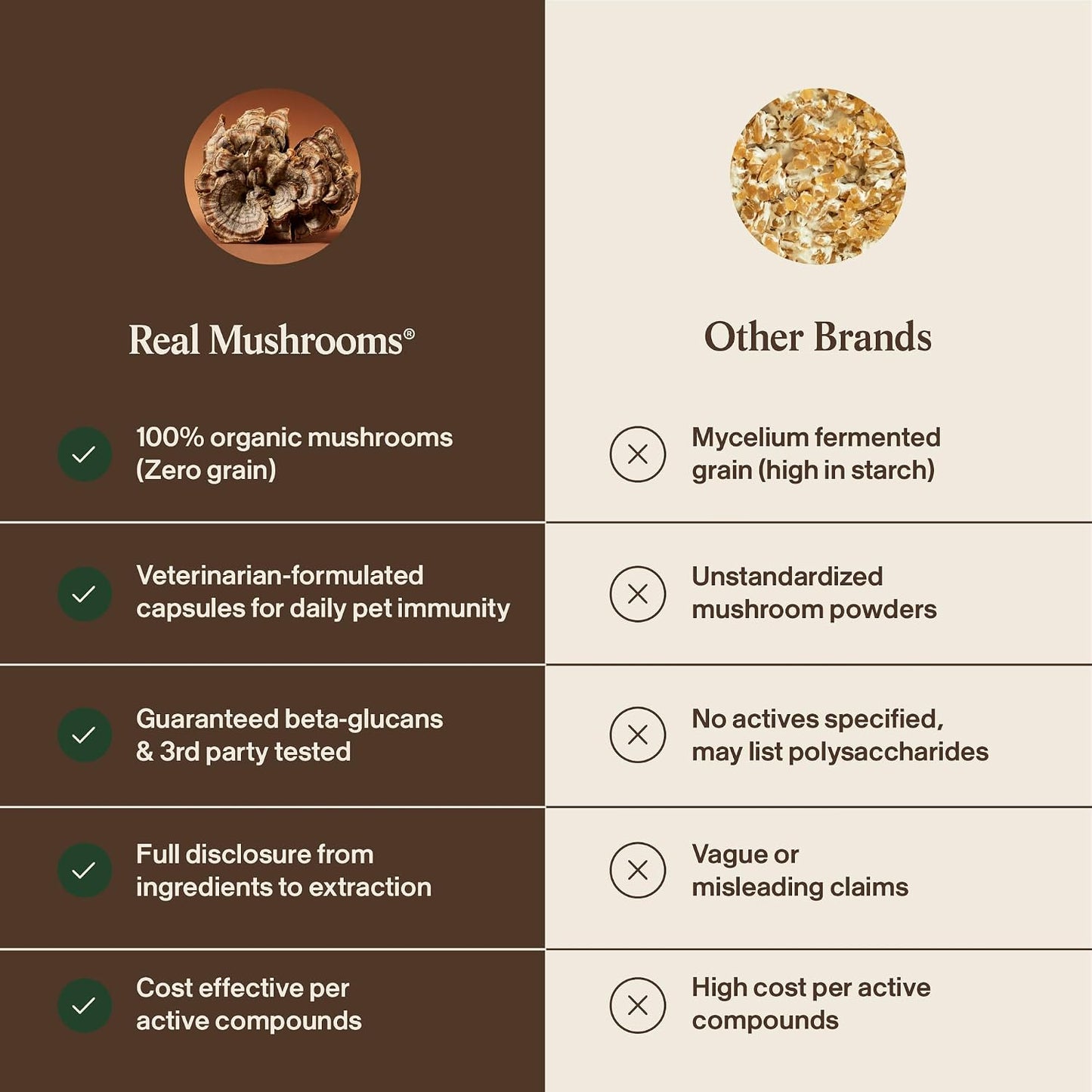 Veterinarian formulated mushroom capsules for animal health