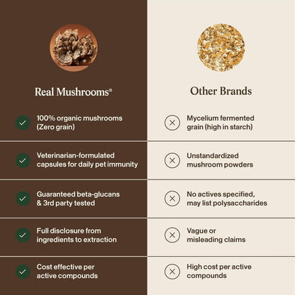 Veterinarian formulated mushroom capsules for animal health