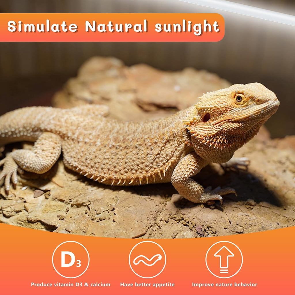Two pack replacement fluorescent bulbs for bearded dragon terrariums and desert reptile enclosures.