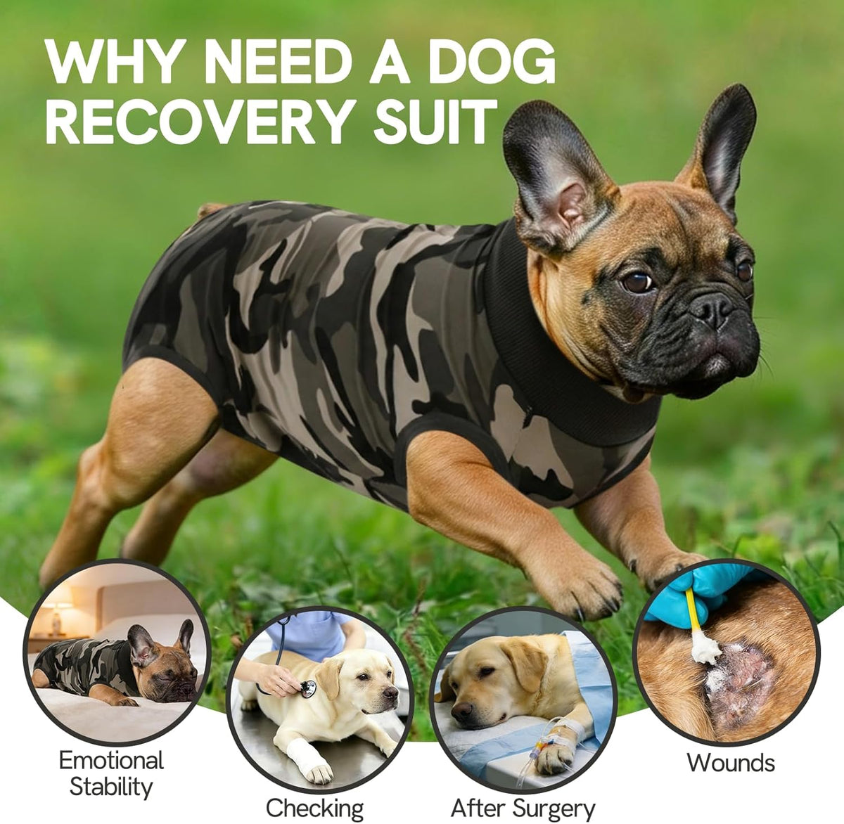 SAWMONG puppy medical vest showing full abdominal wound protector coverage for spay neuter recovery.