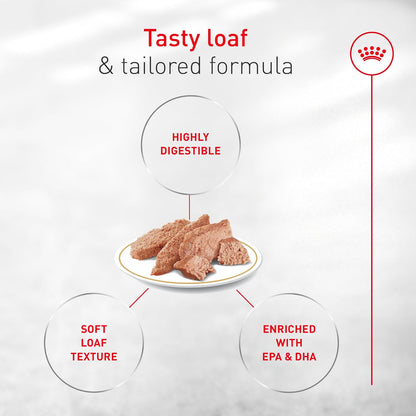 Nutritional details and digestive health benefits listed on the back of the imported dog food can.