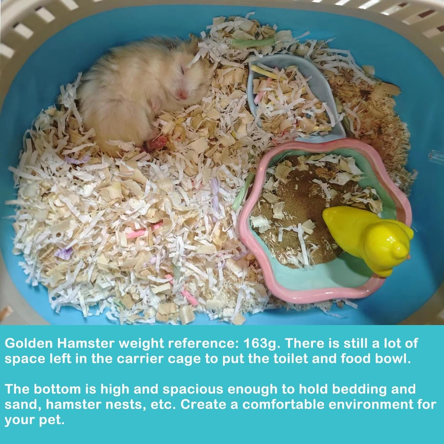 Hamster Carrier Guinea Pig Carrier 13 X 11 X 8 In Portable Hamster Travel Cage with Ventilation Holes Outdoor Small Animal Carrier for Rat Gerbils Rabbit Hedgehog Squirrel Mouse Sugar Glider - Image 7