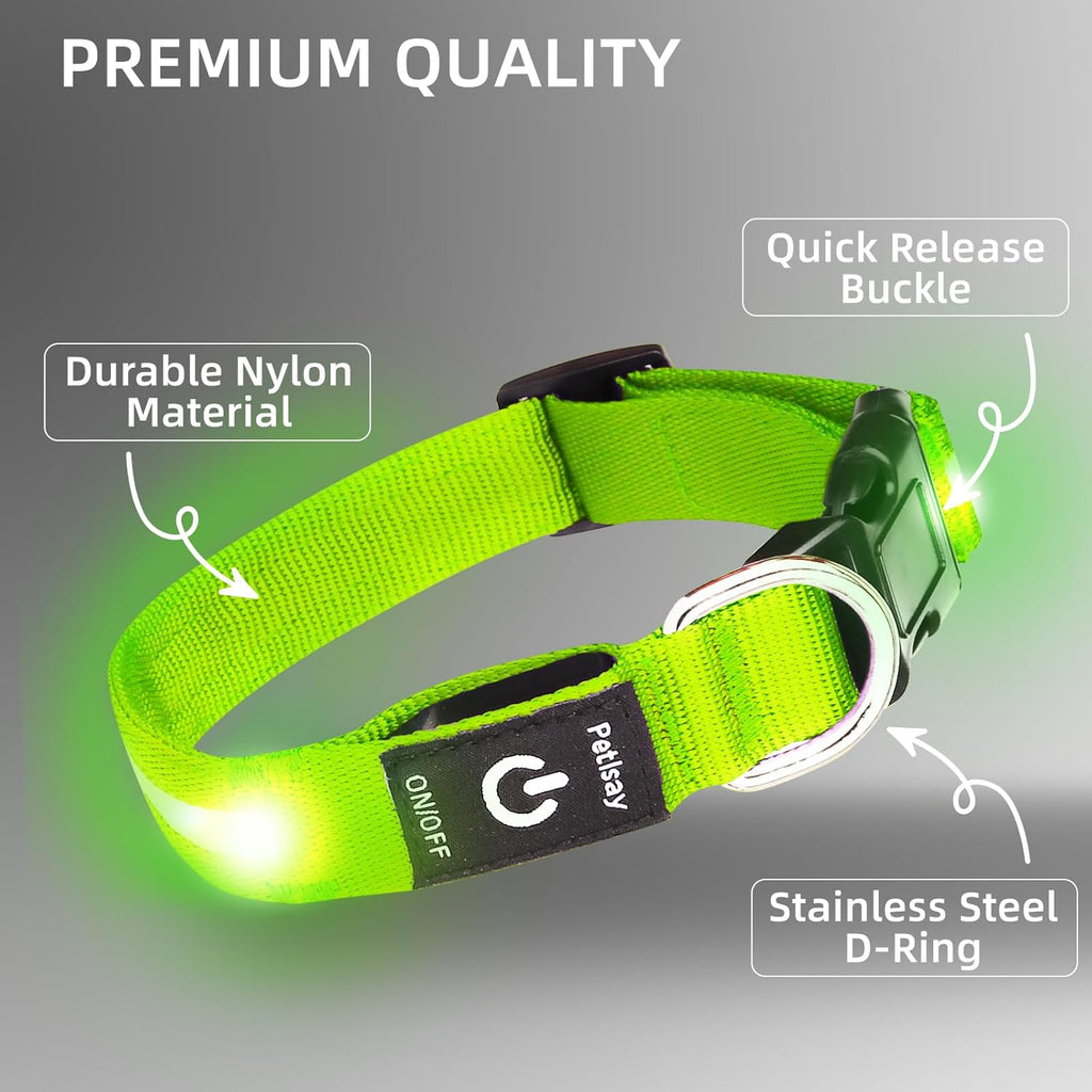 High visibility LED beads on Petisay nylon dog collar