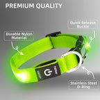High visibility LED beads on Petisay nylon dog collar