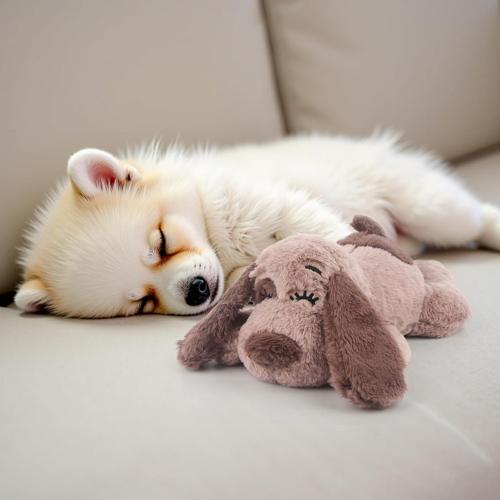 Puppy sleeping with Beverlyshark heartbeat comfort toy