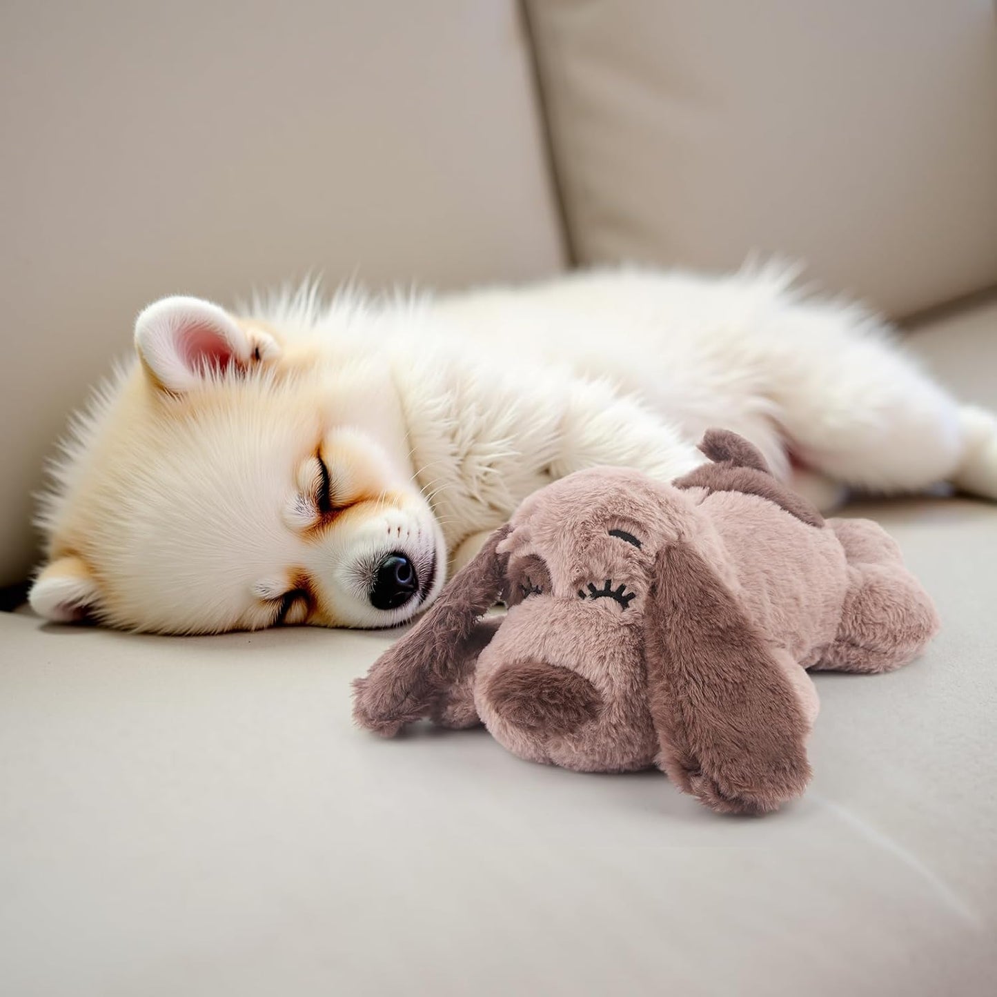 Puppy sleeping with Beverlyshark heartbeat comfort toy
