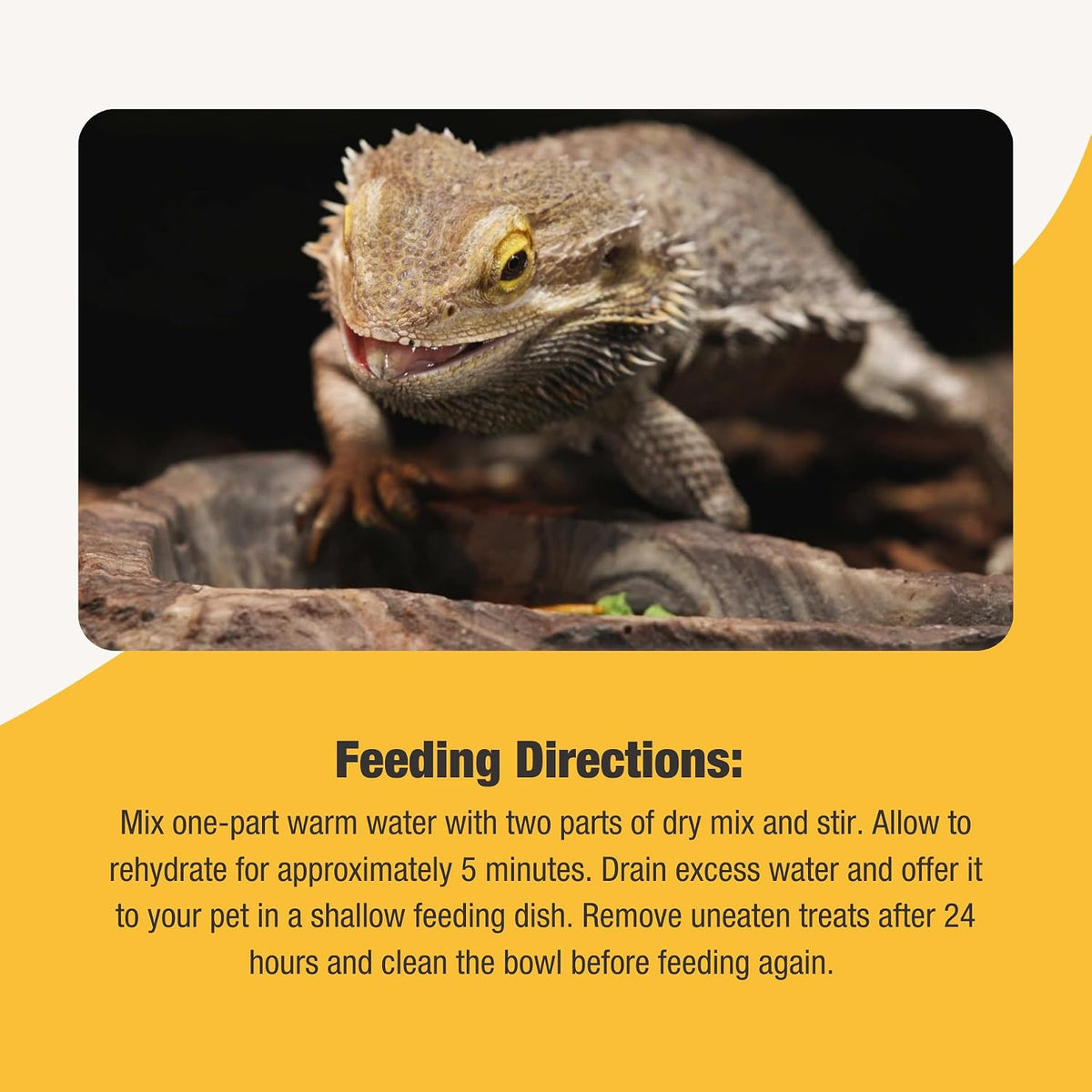 Rehydrated omnivore mix inside a reptile feeding bowl