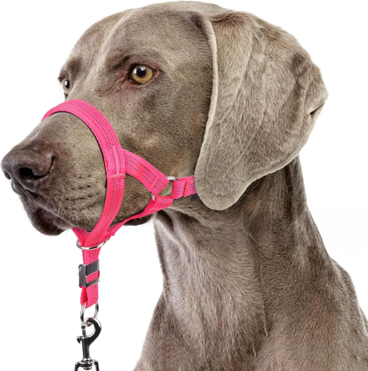 BARKLESS Sturdy No Pull Head Collar for Medium Large Dogs, Gentle Reflective Head Halter with Safety Link, Adjustable Nylon Dog Training Muzzle Leash for Walking Control (Green, L) - Image 13