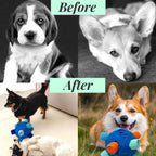 Top view of CIIVURR interactive dog slow feeder ball