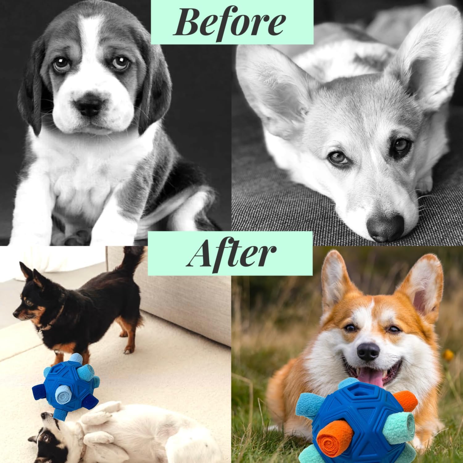 Top view of CIIVURR interactive dog slow feeder ball