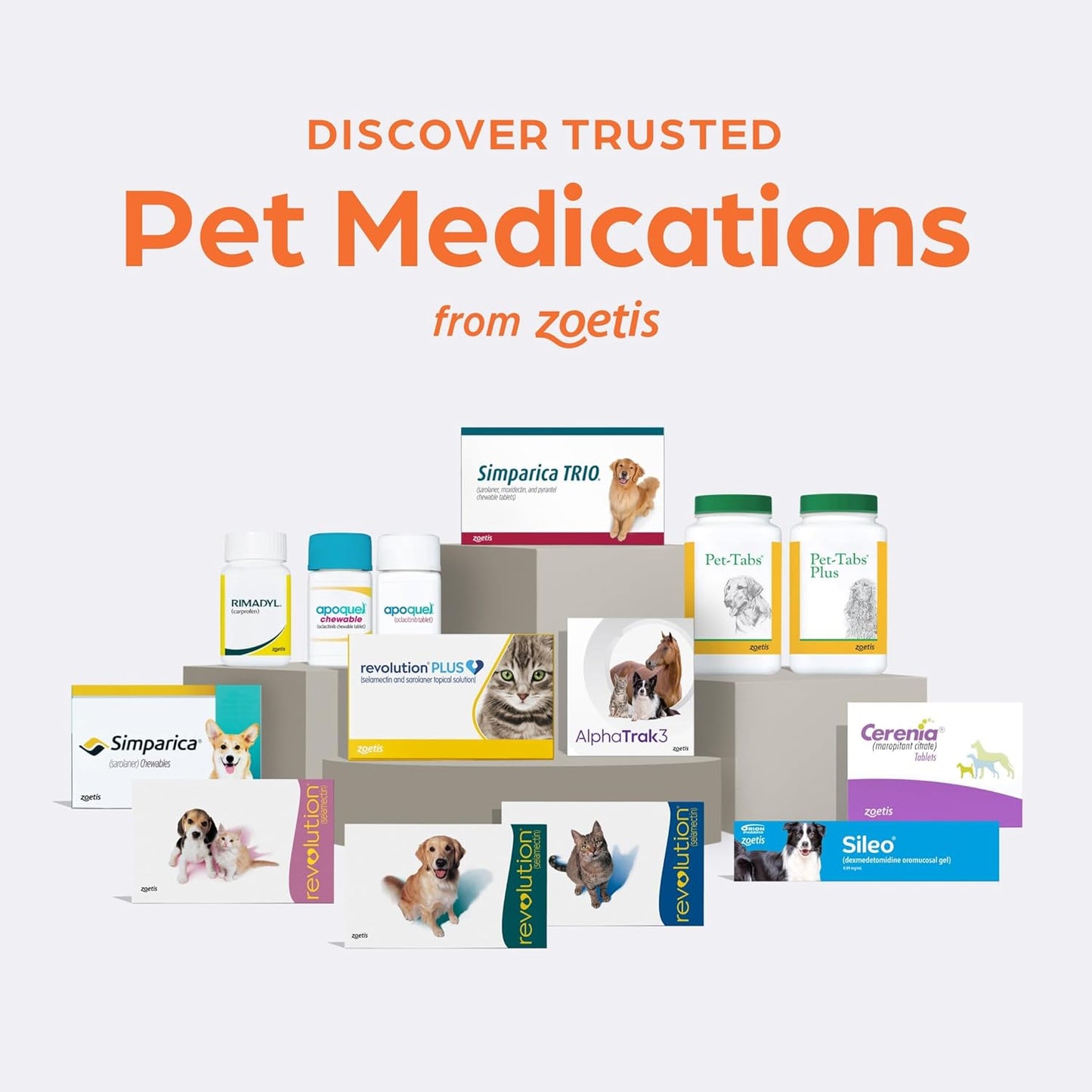 Cestex orange tablet for feline and canine tapeworm treatment