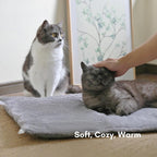 Petfelix thermal cat pad demonstrating the non-slip silicone nib bottom texture