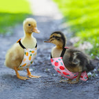 DoubleFill pet bird diapers highlighting soft cloth material