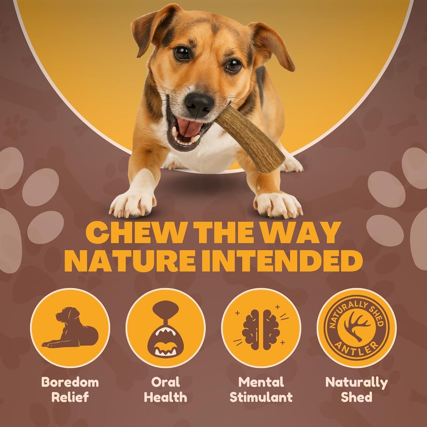 WhiteTail Naturals safe sanded edge dental chews for aggressive chewers