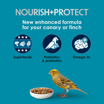 Kaytee Forti-Diet Pro Health bird seed texture and variety